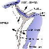image of Figure 28